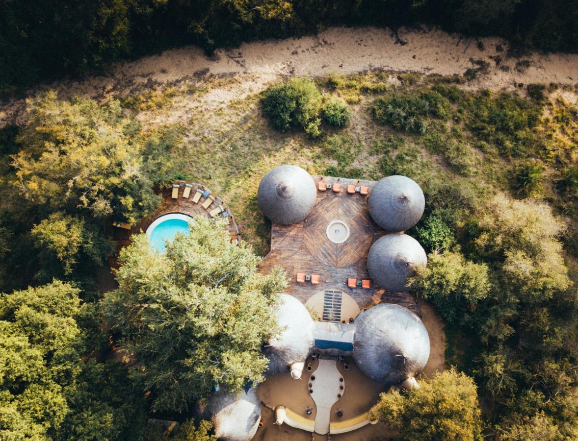 Hoyo Hoyo Safari Lodge Mluwati Concession Kültér fotó