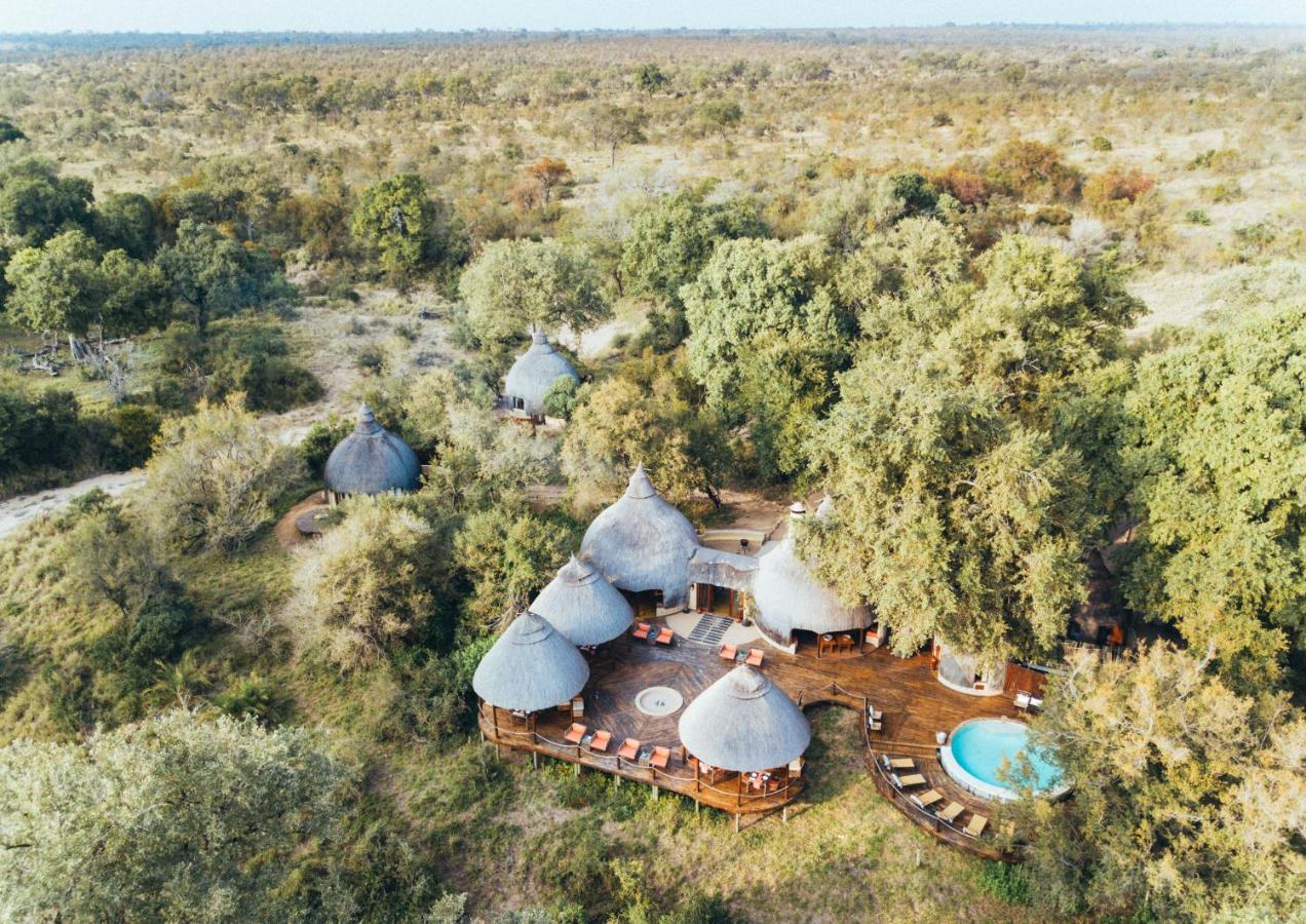 Hoyo Hoyo Safari Lodge Mluwati Concession Kültér fotó