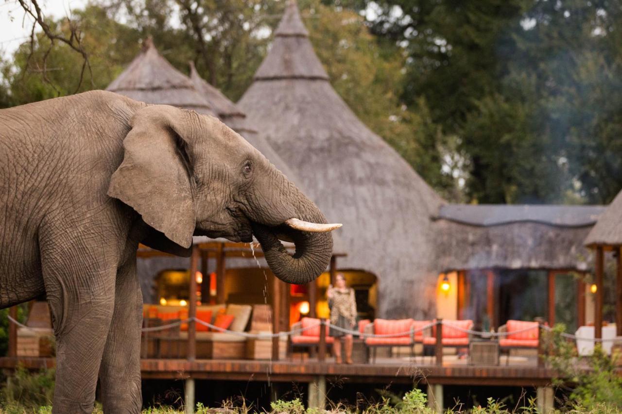 Hoyo Hoyo Safari Lodge Mluwati Concession Kültér fotó