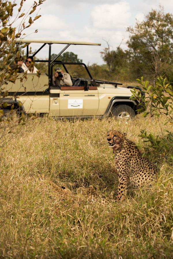 Hoyo Hoyo Safari Lodge Mluwati Concession Kültér fotó